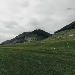 Фото отзыва