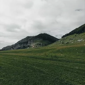 Фото отзыва