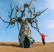 ополнительное фото тура 