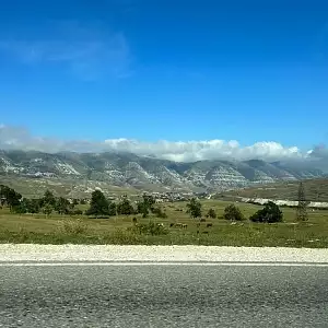 Фото отзыва