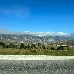 Фото отзыва