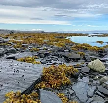 ополнительное фото тура 