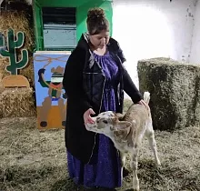 ополнительное фото тура 