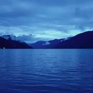 Фото отзыва