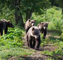 ополнительное фото тура 