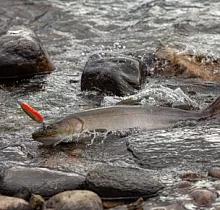 ополнительное фото тура 