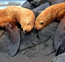 Фото дня 4 тура «Приморский микс» сезон май-сентябрь