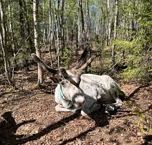 ополнительное фото тура 