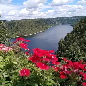 Фото отзыва