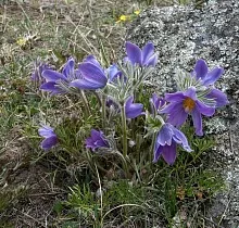 ополнительное фото тура 