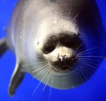 Место проживания в туре 