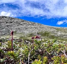 ополнительное фото тура 