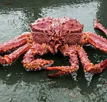 ополнительное фото тура 