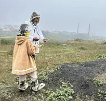 Фото дня 4 тура Наблюдение за промыслом, Мыс Дежнева