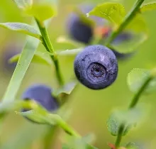 ополнительное фото тура 