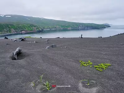 Пейзажи острова Парамушир и вулкана Эбеко