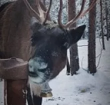 ополнительное фото тура 