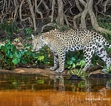 ополнительное фото тура 