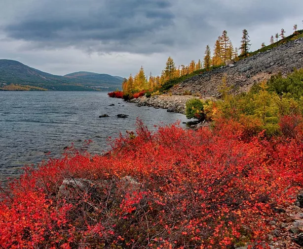 Изображение статьи Колыма: сплав и рыбалка по р. Большая Купка, Магаданская область Туры России