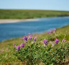 ополнительное фото тура 