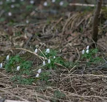 ополнительное фото тура 