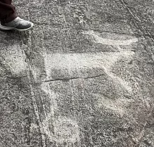 ополнительное фото тура 