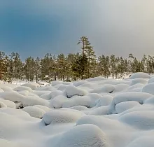 ополнительное фото тура 