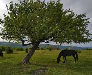 Тур 