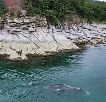 ополнительное фото тура 