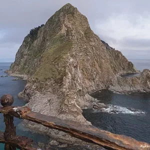 Фото отзыва