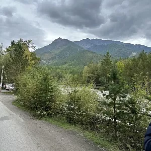 Фото отзыва