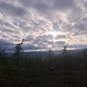Фото отзыва