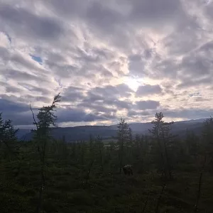 Фото отзыва