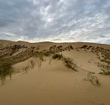 ополнительное фото тура 