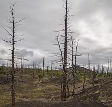 ополнительное фото тура 