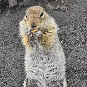 Фото отзыва