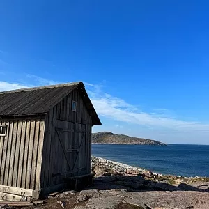 Фото отзыва