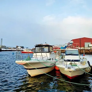 Фото отзыва