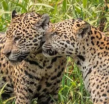 ополнительное фото тура 