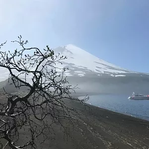 Фото отзыва