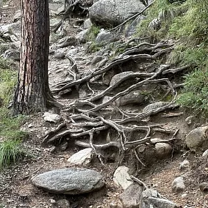 Фото отзыва