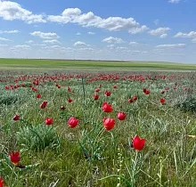 ополнительное фото тура 