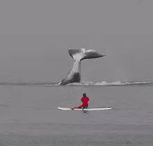 ополнительное фото тура 