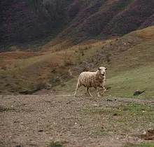 ополнительное фото тура 