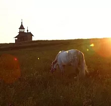 ополнительное фото тура 