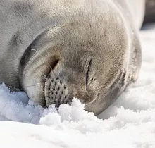 ополнительное фото тура 