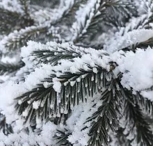 ополнительное фото тура 