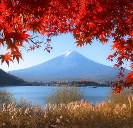 Тур Япония: красные клены в стране самураев