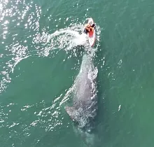 ополнительное фото тура 