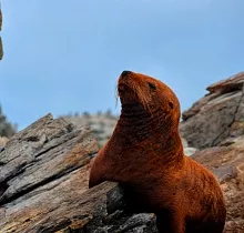 Фото дня 5 тура «Приморский микс» сезон май-сентябрь
